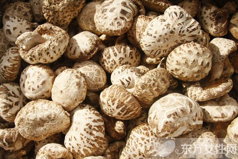花菇和香菇的区别 花菇的营养价值居然这么高