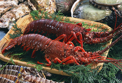 吃海鲜不能吃什么 揭食用海鲜必知禁忌