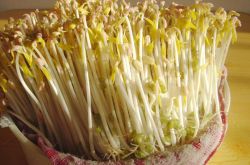 春季养生之道推荐 做好十点让疾病远离你