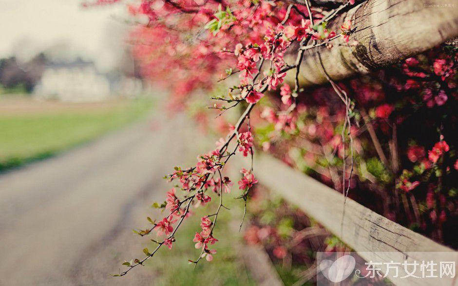 春天养生之道推荐 做好这三点身体棒棒哒