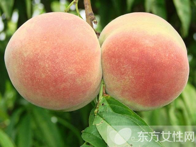 桃子吃多了会怎么样 这类人群不宜吃桃子哦