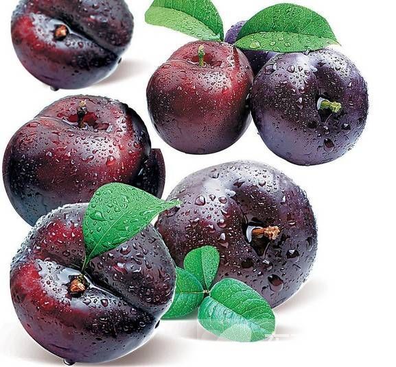 二陈汤的功效与作用 二陈汤什么时候喝比较好