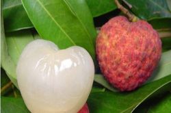 夏季饮食养生最佳开胃食物 夏天不得不吃的水果推荐