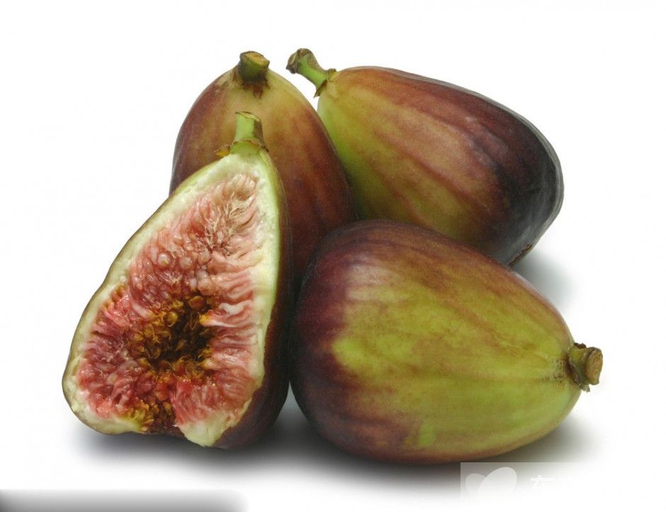 无花果的功效与作用 无花果怎么做更好吃呢