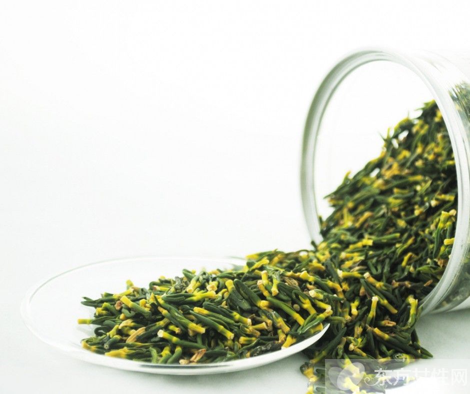 莲子心的副作用有哪些 此类人群还是少喝为妙