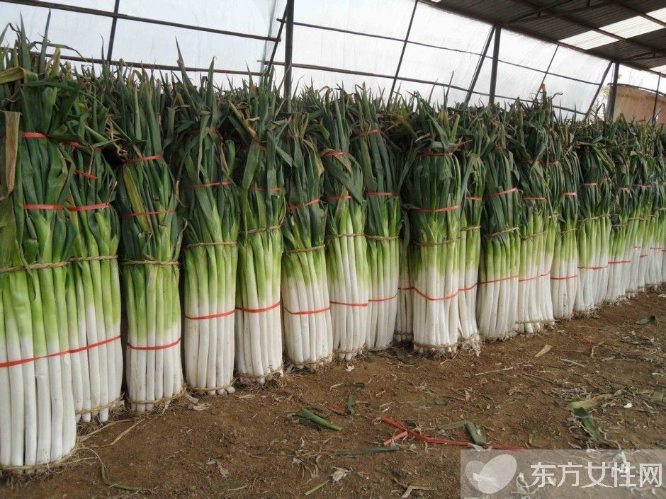 大葱的功效与作用 这些食物放在一起吃就遭啦