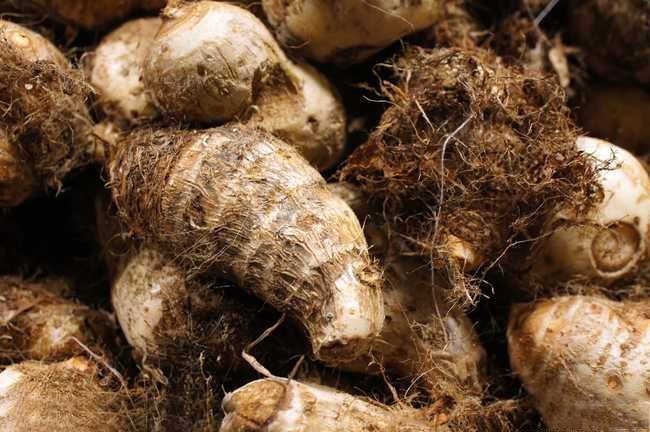 毛芋头的功效与作用 及好吃的做法大全