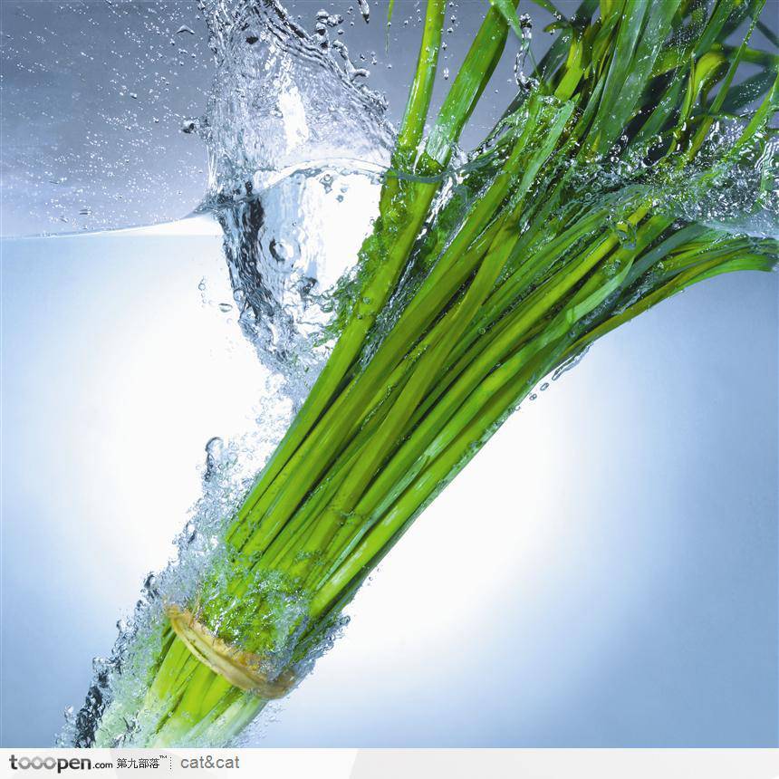 韭菜鸡蛋饺子怎么做 韭菜真的能壮阳吗