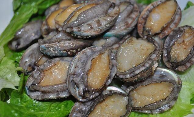 鲍鱼怎么做好吃 教你三种简单家常做法