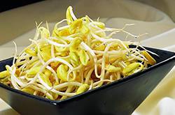 手把手教你豆芽菜的营养做法