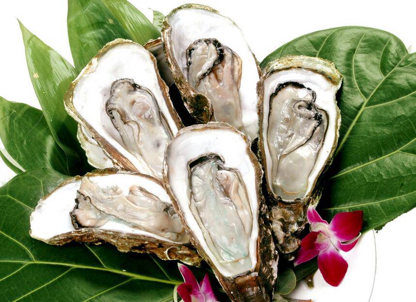 生蚝的功效与作用 三种营养做法图片介绍