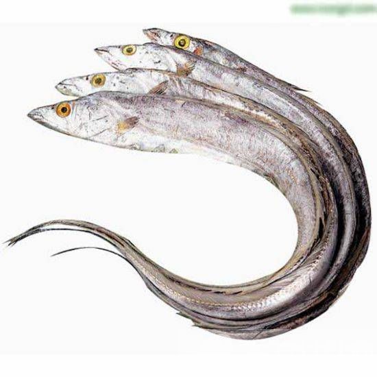 带鱼的家常做法大公开 煎鱼的小窍门要掌握