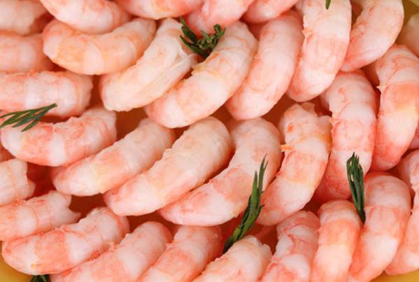 五款美味多汁的油爆虾食谱 你最钟爱哪一款