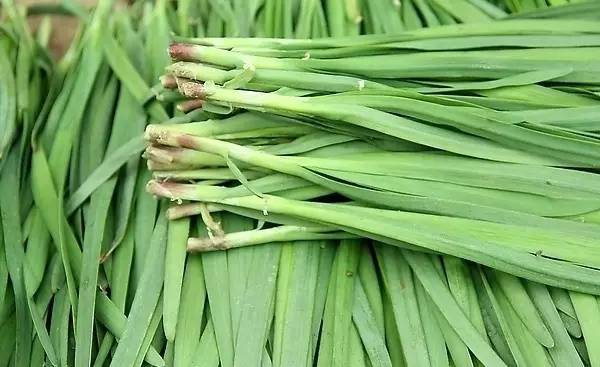 韭菜鸡蛋饺子怎么做 韭菜真的能壮阳吗