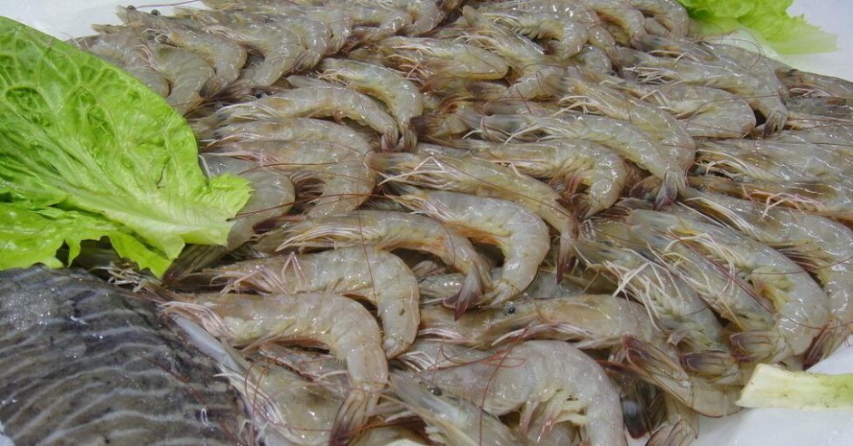 美味番茄大虾的做法大全 就要这个味