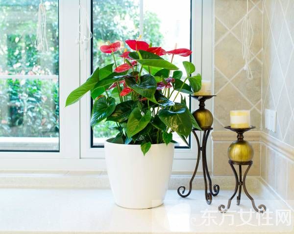 如何装修婚房 四大客厅风水禁忌须注意