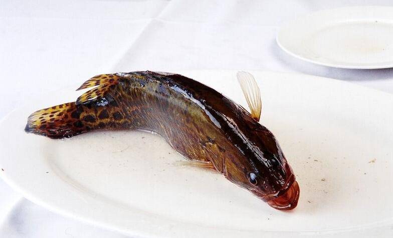 揭松鼠桂鱼的来历 手把手教你松鼠桂鱼4种做法