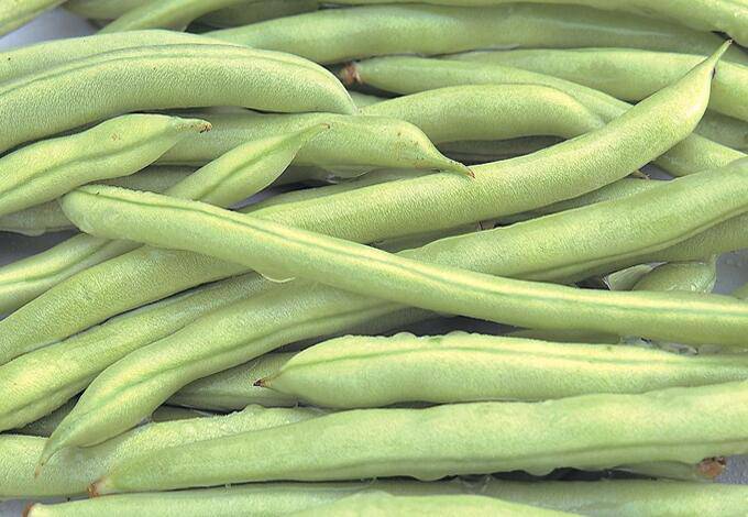 揭排骨炖豆角的4种家常做法