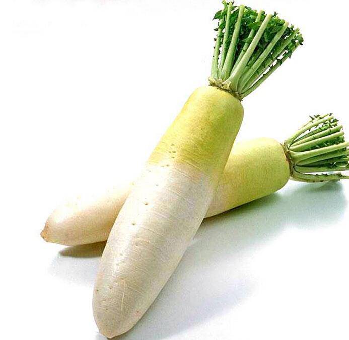 美味又滋补的萝卜炖排骨做法大公开