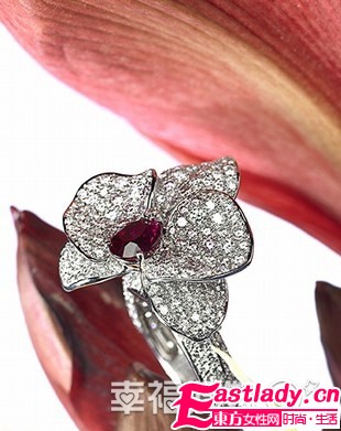 冬日花样美戒在新娘指尖绽放