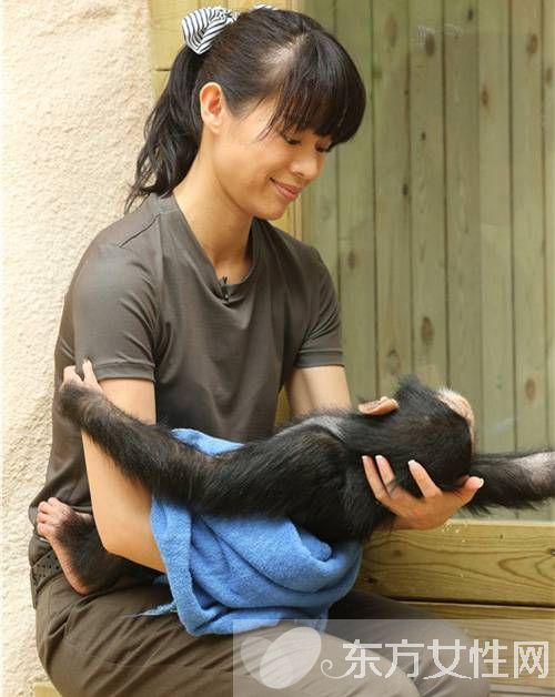 黄轩胡杏儿的婚纱照怎么回事 黄轩背景个人资料