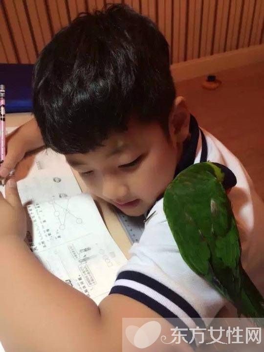 黄磊女儿多多学费13万 星二代教育费用伤不起啊