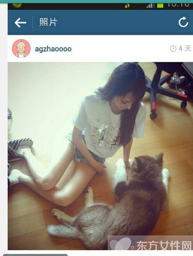 王思聪与赵子易现身机场被拍 铲屎官为何能独宠后宫