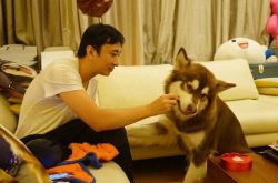 盘点王思聪上过的女人 国民老公一出手就是几百万