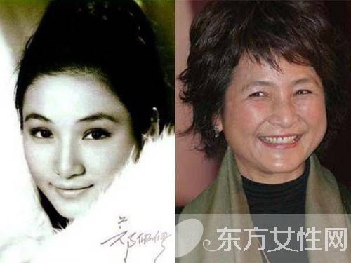 郑佩佩个人资料 郑佩佩炮轰张柏芝惹粉丝怒骂