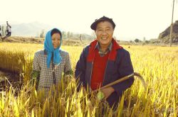 乡村爱情8什么时候上映 赵本山暴怒不留情小姨子也NG