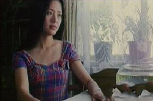 李亚鹏个人资料 李亚鹏王菲离婚原因公布