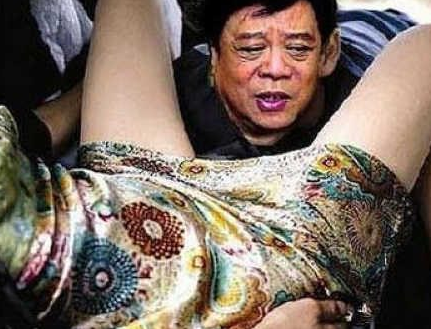 央视名嘴赵忠祥简历 赵忠祥在美女两腿之间性丑闻曝光