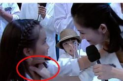 谢娜简历曝光 揭秘谢娜为什么下跪道歉