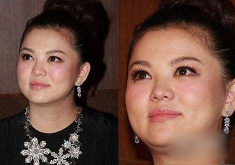 李湘二胎预产期在明年 揭其个人资料及减肥方法