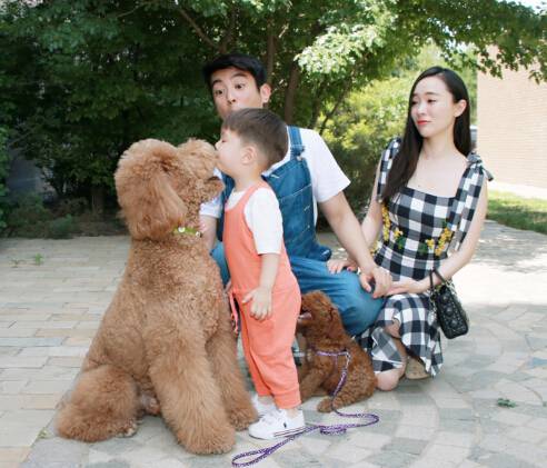 揭杜江霍思燕没有那么幸福 儿子是最好的作品