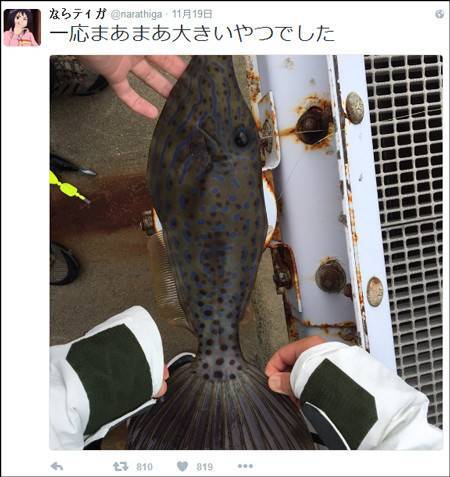 吃鱼前晒照片 竟捡回了一条命