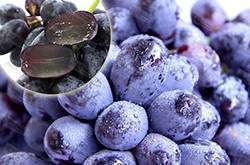 女人补肾吃什么好 女性肾虚不能吃的4种水果