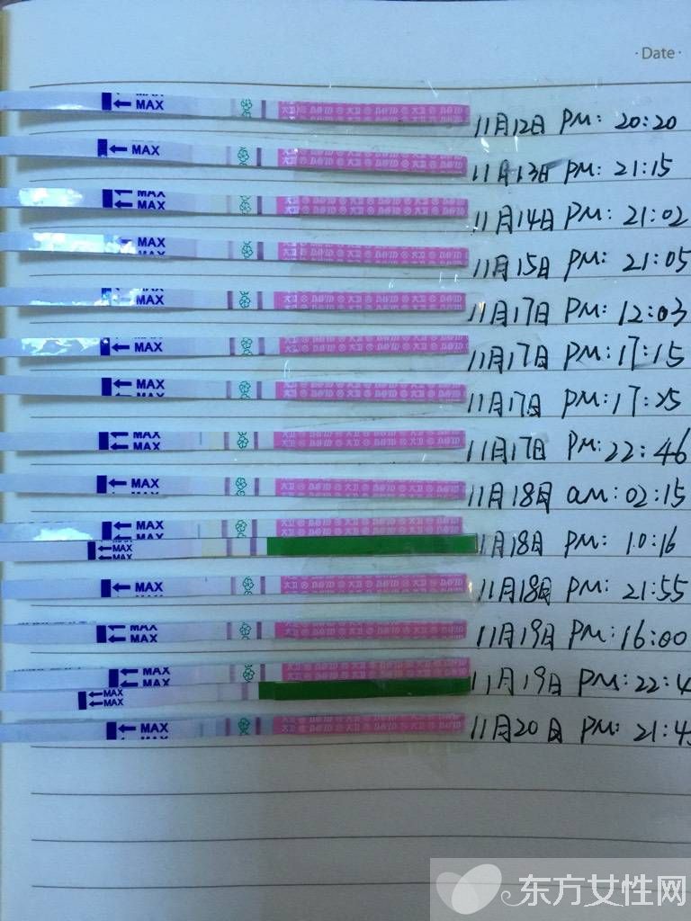 排卵试纸弱阳后多久排卵 排卵试纸一直弱阳是什么原因