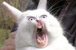 因与人发生口角被捅 腹部巨大肿瘤帮他挡3刀