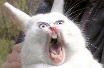 因与人发生口角被捅 腹部巨大肿瘤帮他挡3刀