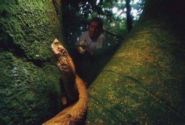 地球上十大禁止人类入内的毒物危险地带