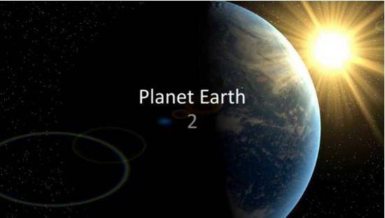 海滩群蛇追杀海蜥蜴 小蜥蜴还是成功脱身