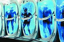 14岁患癌少女冰冻自己 将在200年后回来