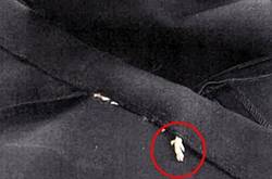 老鼠被缝进新衣 本以为是线头一摸是老鼠腿