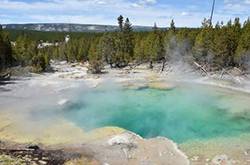 男子跌强酸温泉遭溶解 男子姐姐用手机拍下全过程