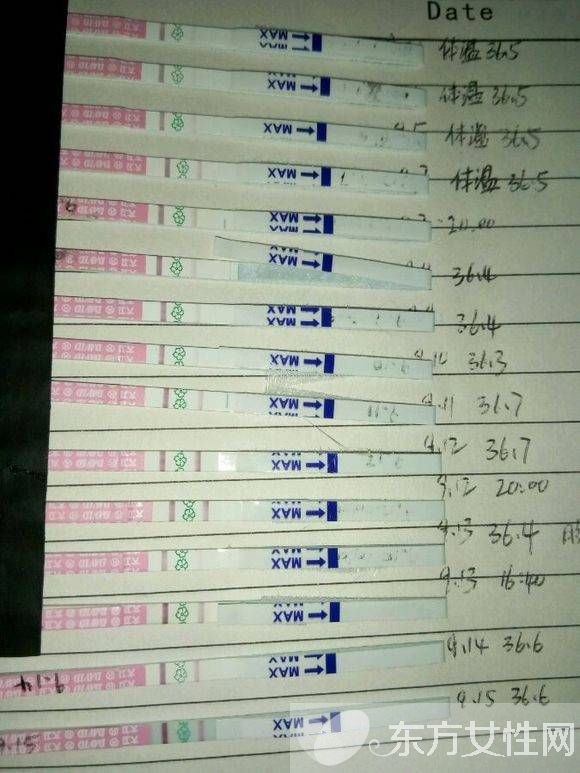 排卵试纸弱阳后多久排卵 排卵试纸一直弱阳是什么原因