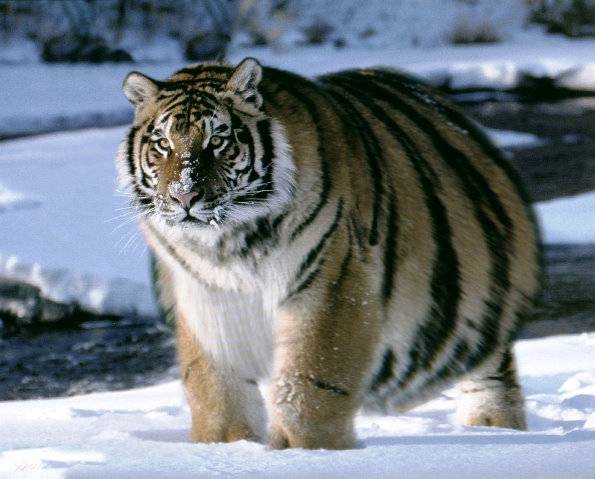 易胖体质是一种怎样的体验 血泪减肥史想想都心酸