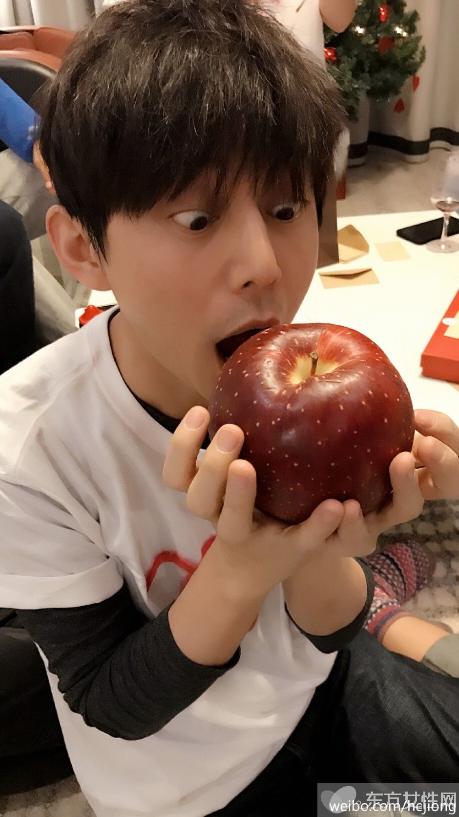 何炅汪涵工资遭曝光 何炅年收入惊人多达千万