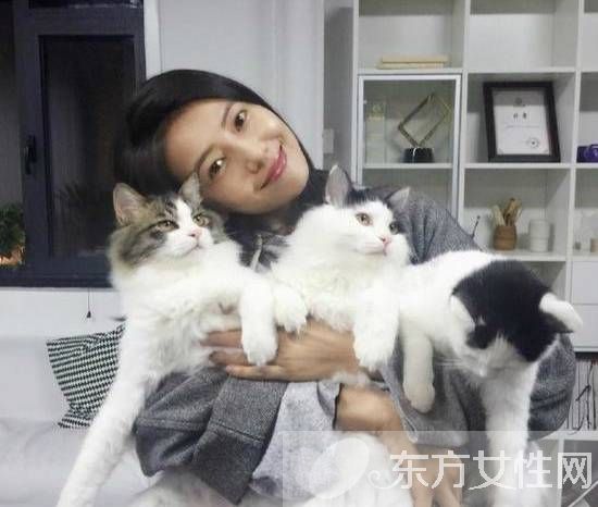 高圆圆怀孕了吗 高圆圆个人资料曝光