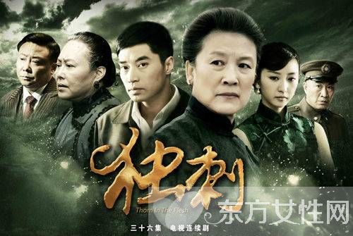 电视剧《独刺》剧情介绍 《独刺》演员表